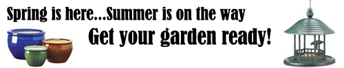 Get your garden ready for Summer!