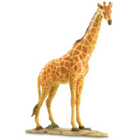 CLICK HERE TO SEE A LARGER PRODUCT IMAGE