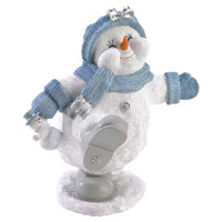 CLICK HERE TO SEE A LARGER PRODUCT IMAGE