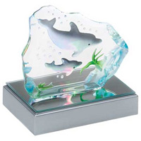 CLICK HERE TO SEE A LARGER PRODUCT IMAGE