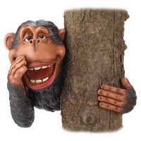CLICK HERE TO SEE A LARGER PRODUCT IMAGE