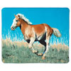 Wild Mustang Fleece Blanket